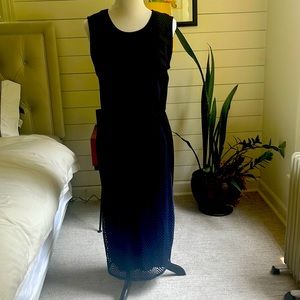 Weston Wear navy dress from Anthropology